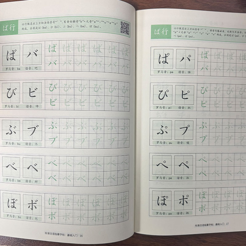 Chinese Calligraphy Practice Book - Caderno de Prática de Hiragana e